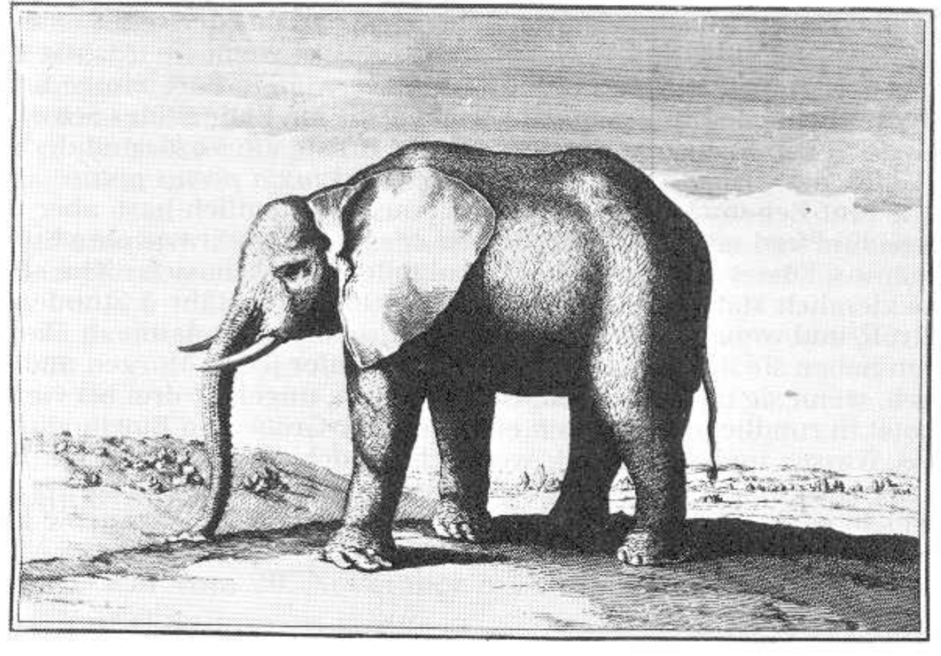 “TIL Louis XIV had an elephant at Versailles, a gift from Portugal's king in 1668. The animal became part of the Ménagerie, the palace's zoo, and was fed 80 pounds of bread, 12 pints of wine, and two buckets of soup daily. It is the only African elephant recorded in Europe between 1483 and 1862.”